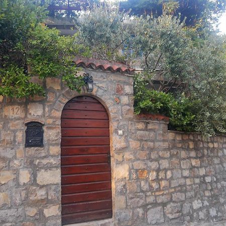 Sea-Side Old Stone Villa With A Private Garden Budva Dış mekan fotoğraf