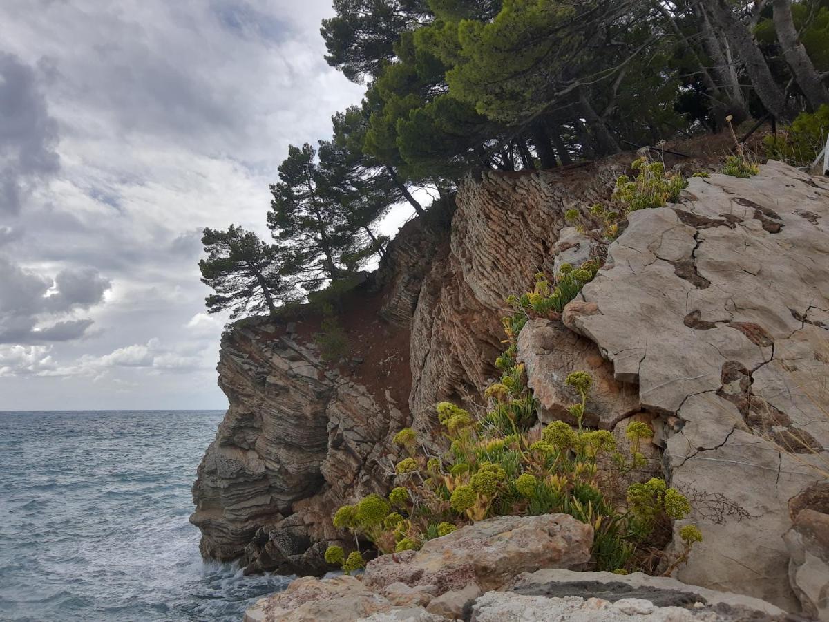 Sea-Side Old Stone Villa With A Private Garden Budva Dış mekan fotoğraf