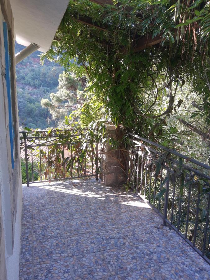 Sea-Side Old Stone Villa With A Private Garden Budva Dış mekan fotoğraf