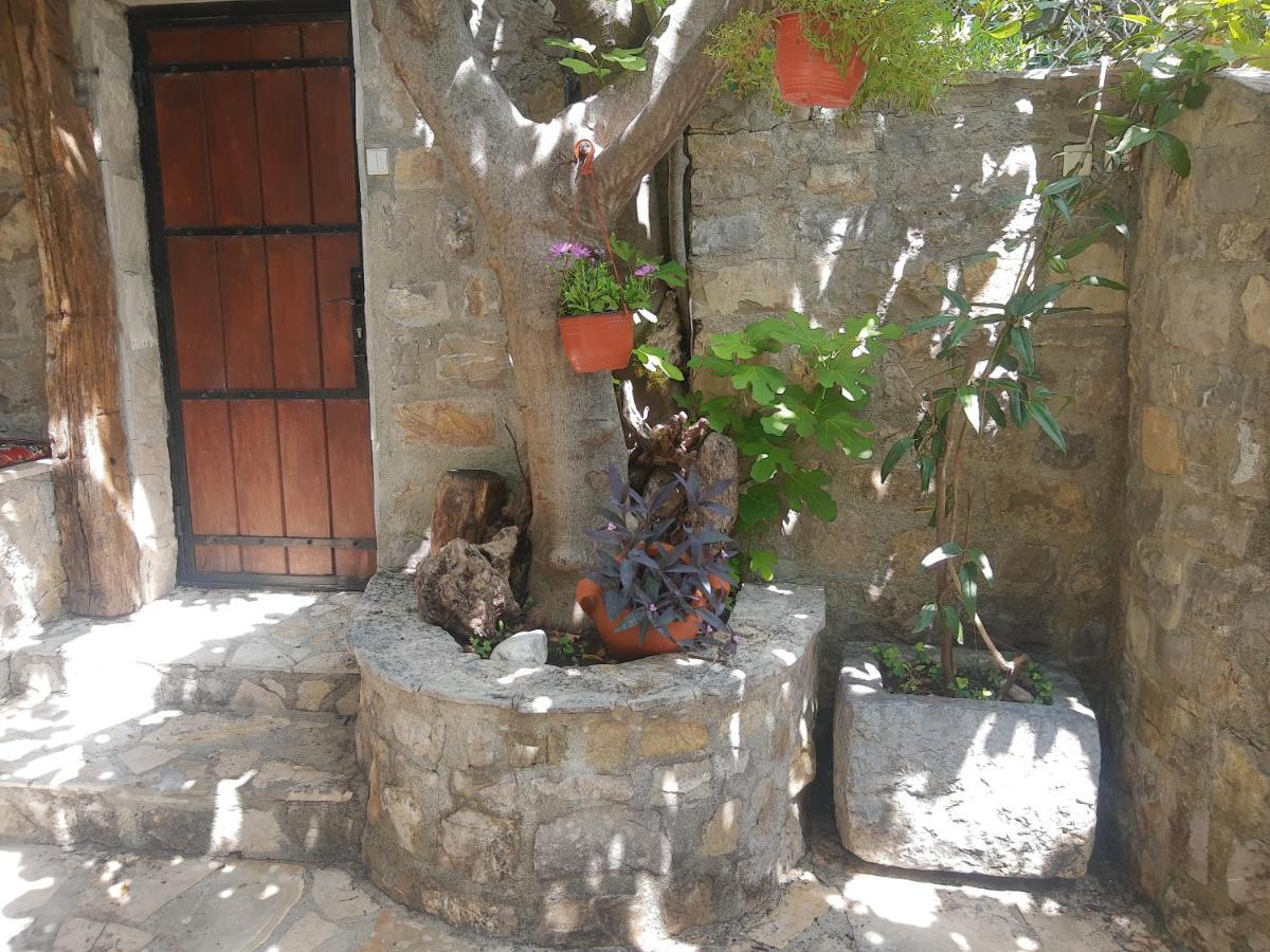 Sea-Side Old Stone Villa With A Private Garden Budva Dış mekan fotoğraf