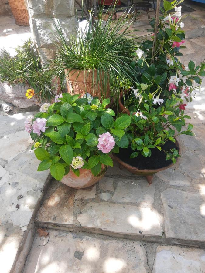 Sea-Side Old Stone Villa With A Private Garden Budva Dış mekan fotoğraf