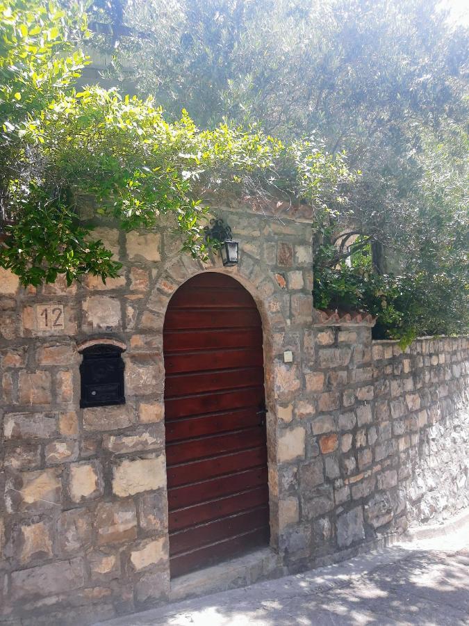 Sea-Side Old Stone Villa With A Private Garden Budva Dış mekan fotoğraf