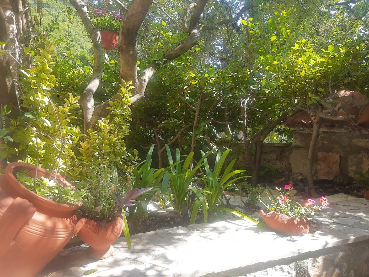Sea-Side Old Stone Villa With A Private Garden Budva Dış mekan fotoğraf