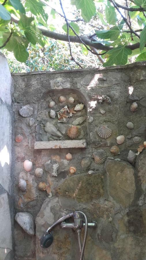 Sea-Side Old Stone Villa With A Private Garden Budva Dış mekan fotoğraf